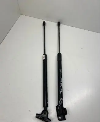 Tailgate/trunk strut/damper