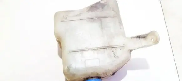 KIA Carnival Coolant expansion tank/reservoir