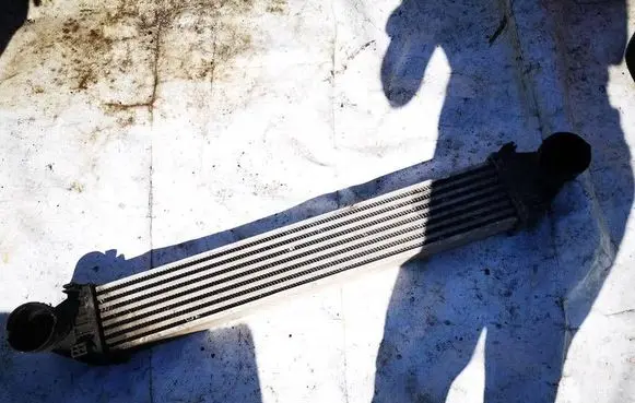 Mercedes-Benz B W245 Intercooler radiator a1695000900