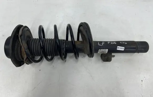 Peugeot 206 Front shock absorber with coil spring