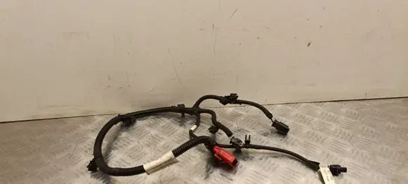 Citroen C4 III e-C4 Other wiring loom 9841277580