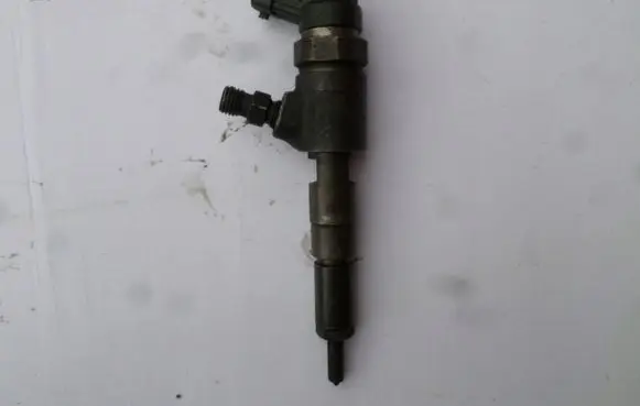 Citroen C3 Fuel injector 9641496180 0445110075