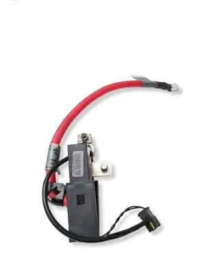 BMW 1 E81 E87 Positive wiring loom 6929708 6929707