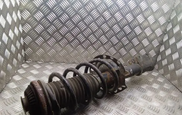 Opel Zafira B Front shock absorber/damper 22214600 24466541