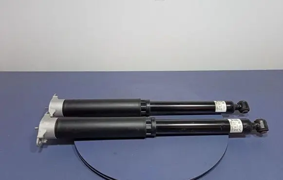 Ford Puma Rear shock absorber/damper L1TC18080FG
