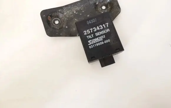 Opel Antara Other control units/modules 25734317 03119006-000