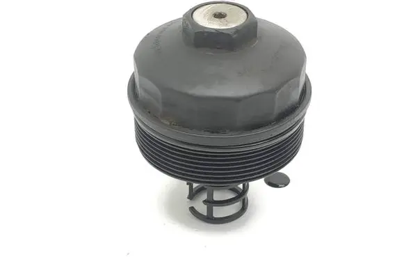 Porsche Cayenne (92A) Oil filter cover 