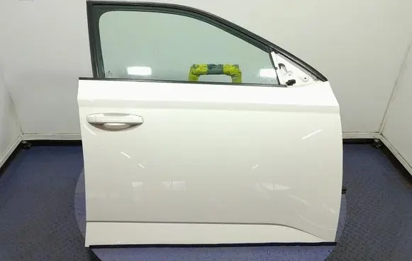 Skoda Fabia Mk3 (NJ) Front door 