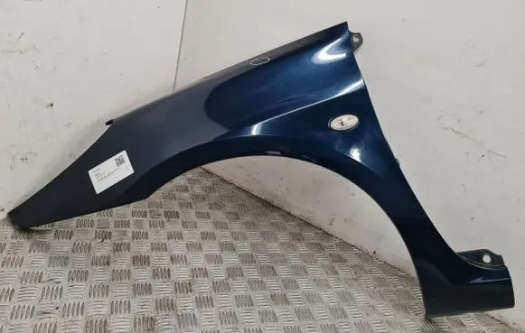 Peugeot 307 Fender