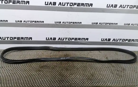 Renault Captur Rear door rubber seal (on body) 