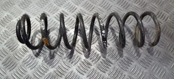 Renault Megane II Rear coil spring