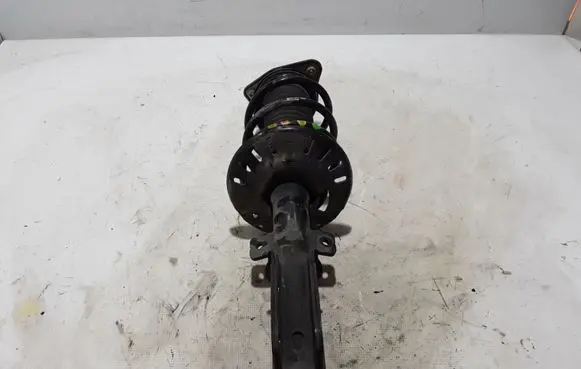 Peugeot 3008 II Front shock absorber/damper 9819718680