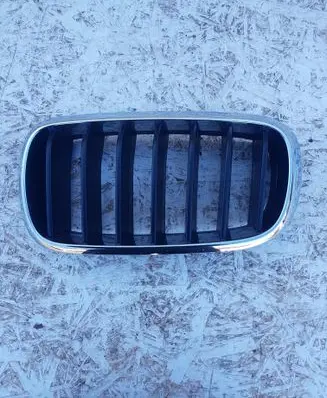BMW X6 F16 Front bumper upper radiator grill 7316075