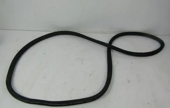Volkswagen PASSAT B5 Front door rubber seal 