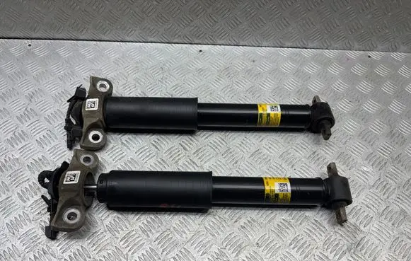 Ford Mustang VI Rear shock absorber/damper KR3C18W003TA
