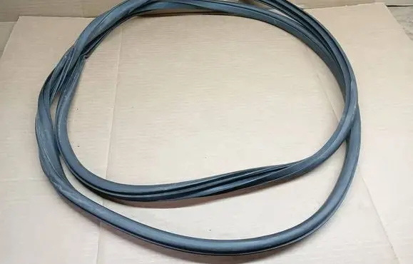 Nissan Juke I F15 Front door rubber seal 