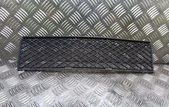 BMW 7 E65 E66 Front bumper lower grill 7135573 51117135573