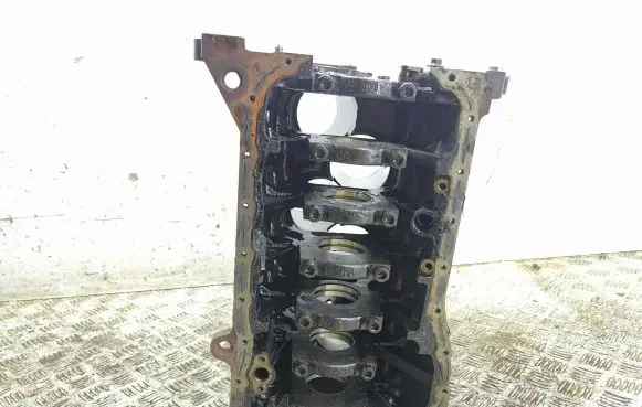 Porsche Cayenne (9PA) Engine block 0221030215