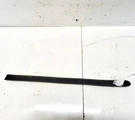 Ford Fusion Rear door trim (molding)
