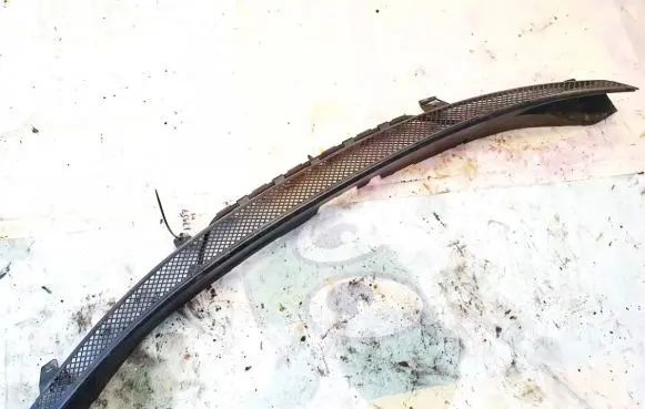 Peugeot 807 Wiper trim