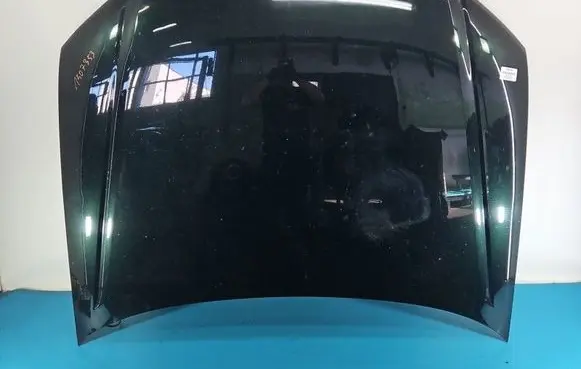 Engine bonnet/hood