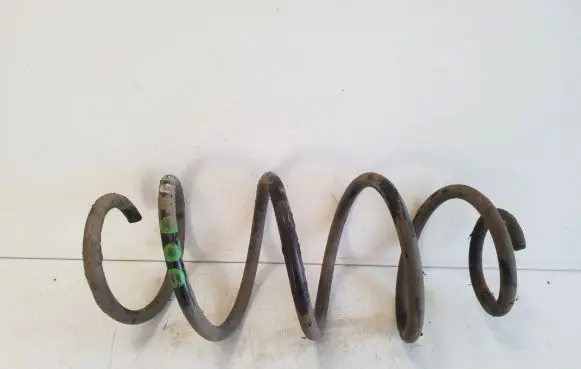 Front coil spring