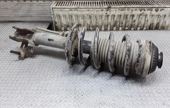 Opel Zafira B Front shock absorber with coil spring