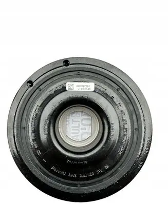 Renault Trafic III (X82) Crankshaft pulley 