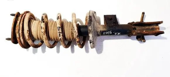 Suzuki Grand Vitara II Front shock absorber/damper 334465