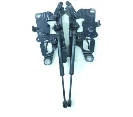 BMW 5 F10 F11 Engine bonnet/hood hinges 7249888 7249887