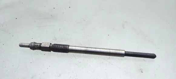 Citroen Berlingo Glow plug 0100276012