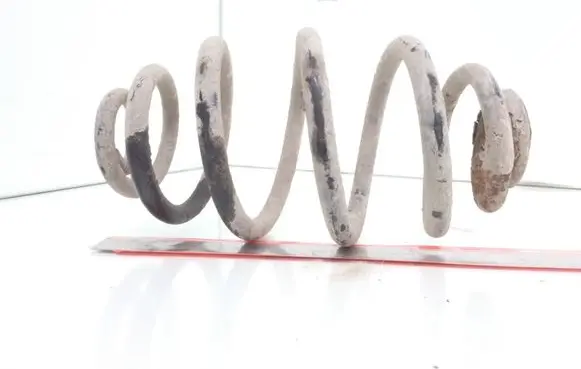 Volkswagen PASSAT B5 Rear coil spring