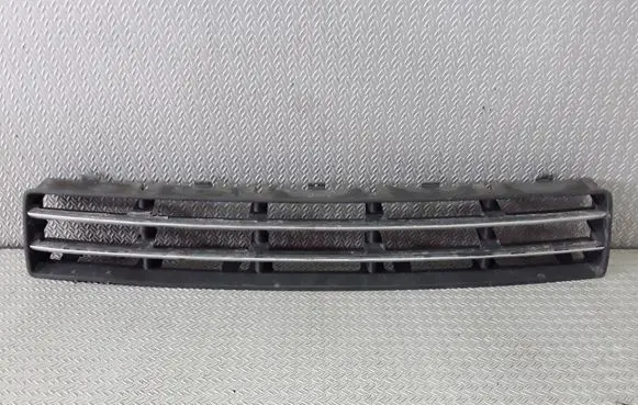 Front bumper lower grill