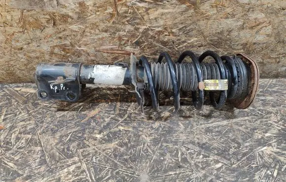 Ford Fusion II Front shock absorber with coil spring HG9C18K001