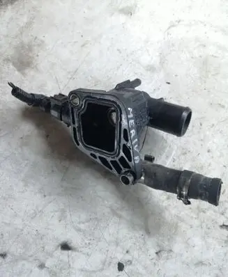 Thermostat/thermostat housing