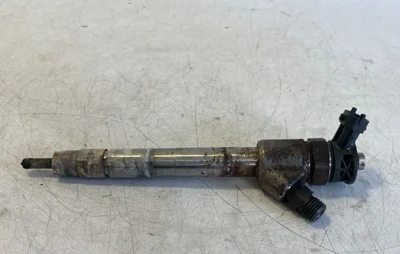 Opel Vivaro Fuel injector 0445110255 9828959880