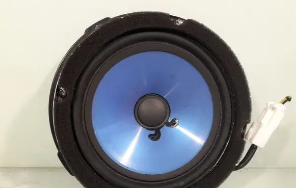Hyundai Santa Fe Front door speaker 963002B010