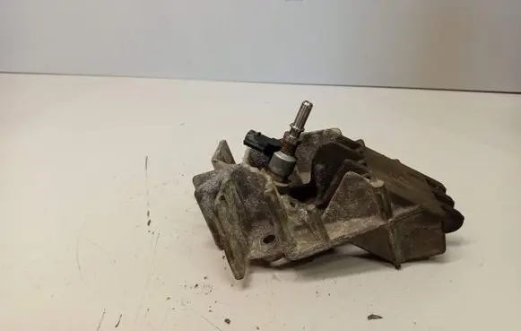 Dacia Duster Fuel injector 8200771226