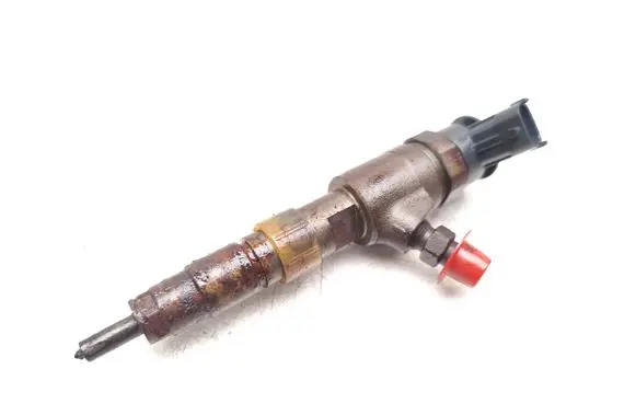 Peugeot Expert Fuel injector 0445110739