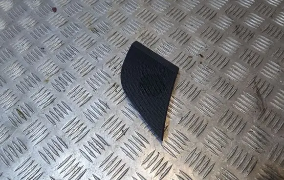Side speaker trim/cover