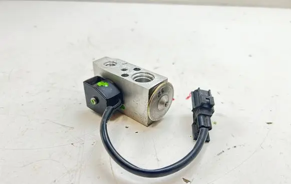 Tesla Model S Air conditioning (A/C) expansion valve 101954400A