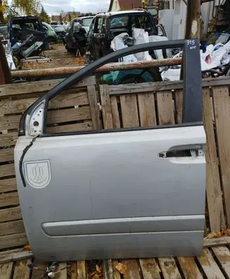 KIA Carnival Front door
