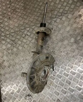 Volkswagen PASSAT B6 Front shock absorber/damper 3C0413031AB 824904 46121V192