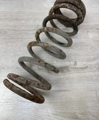 Rear coil spring