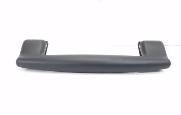 Front interior roof grab handle