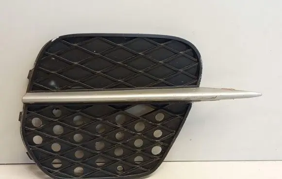 BMW X5 E70 Front bumper lower grill 