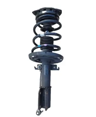 Renault Megane III Front shock absorber with coil spring