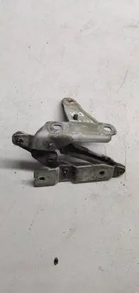 Seat Toledo III (5P) Engine bonnet/hood hinges 5p0823302