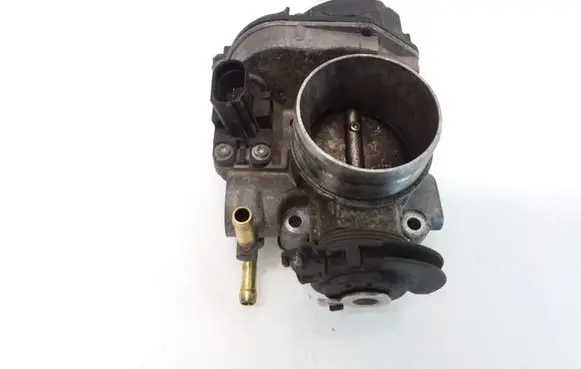 Volkswagen New Beetle Throttle valve 06A133066E