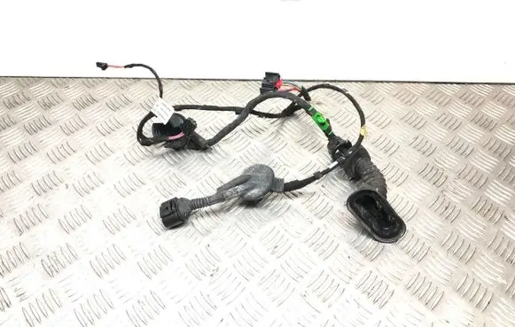 Front door wiring loom